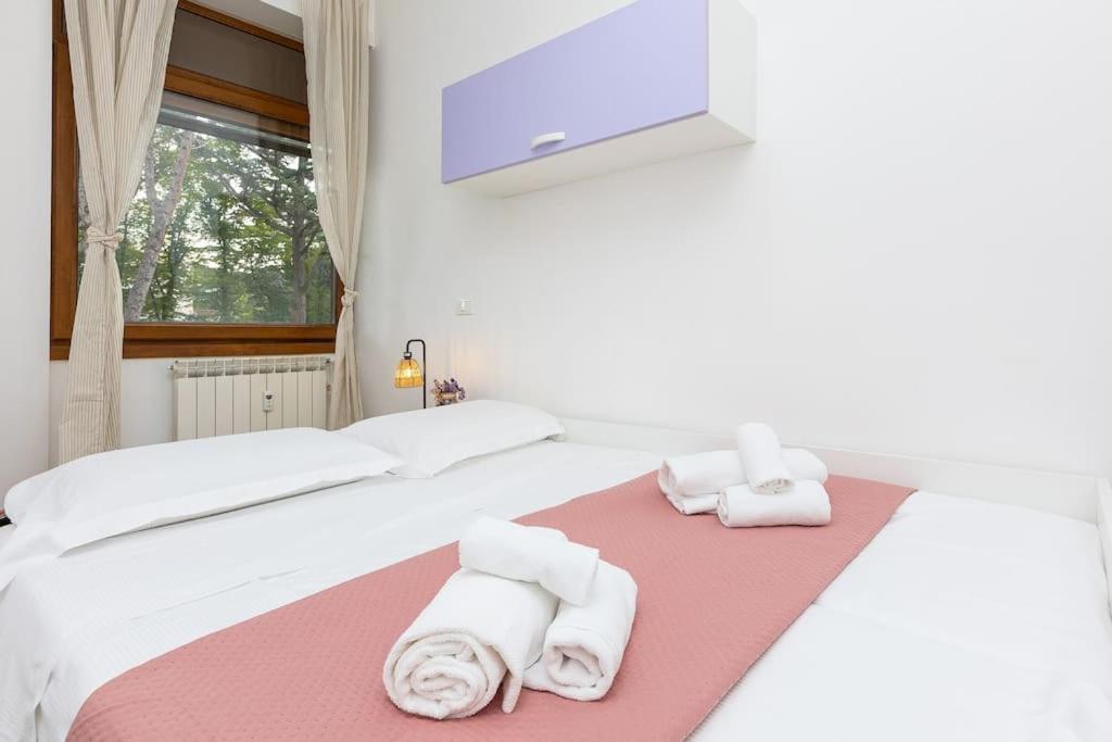 Casa Nel - Oasi Di Relax E Comfort A * Rome